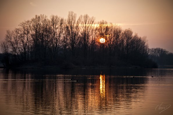 castor-01_8098