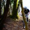 rando-mont-d'or-02_093