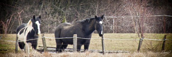 rando-mont-d'or-01_010