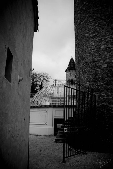 rando-mont-d'or-01_037