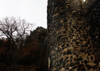 img_1270