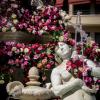 fete_des_roses_1