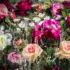 fete_des_roses_2