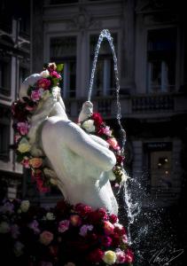fête des roses