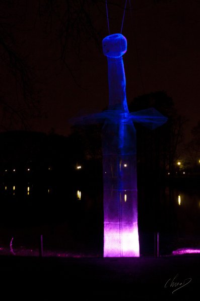 Lyon-lumiere2011-T-d-or_020