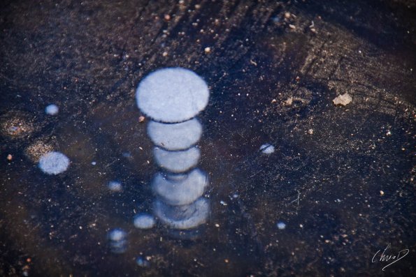 lyon-glace_7874