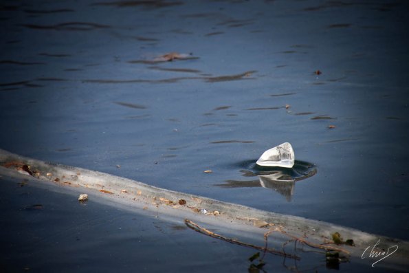 lyon-glace_7895