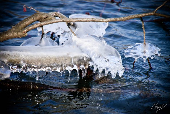 lyon-glace_7898